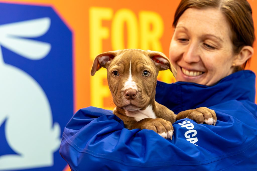 Brand New: bring our new brand to life